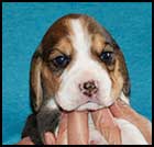 Girl 1 wk 3